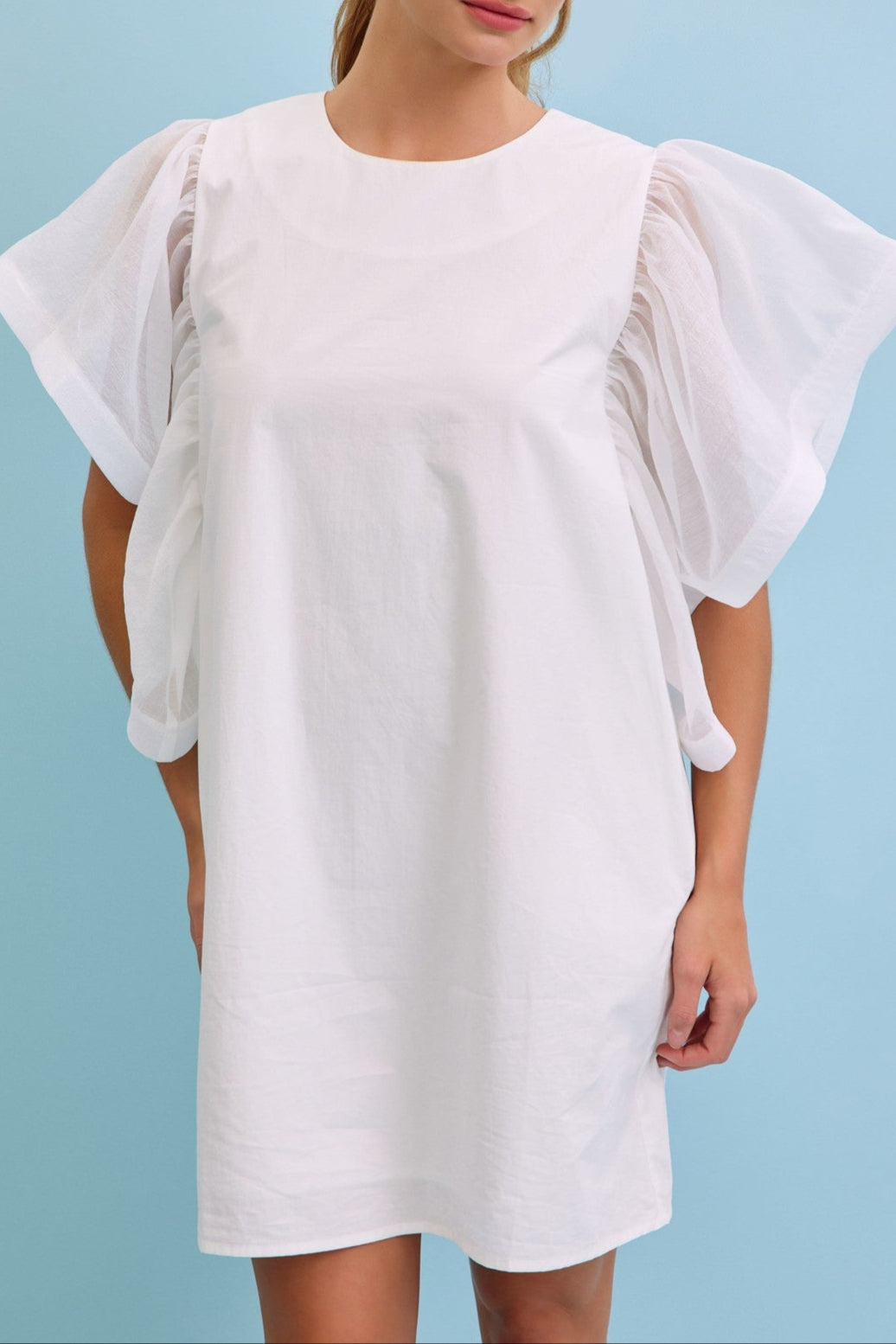 Frill and Flutter Dress